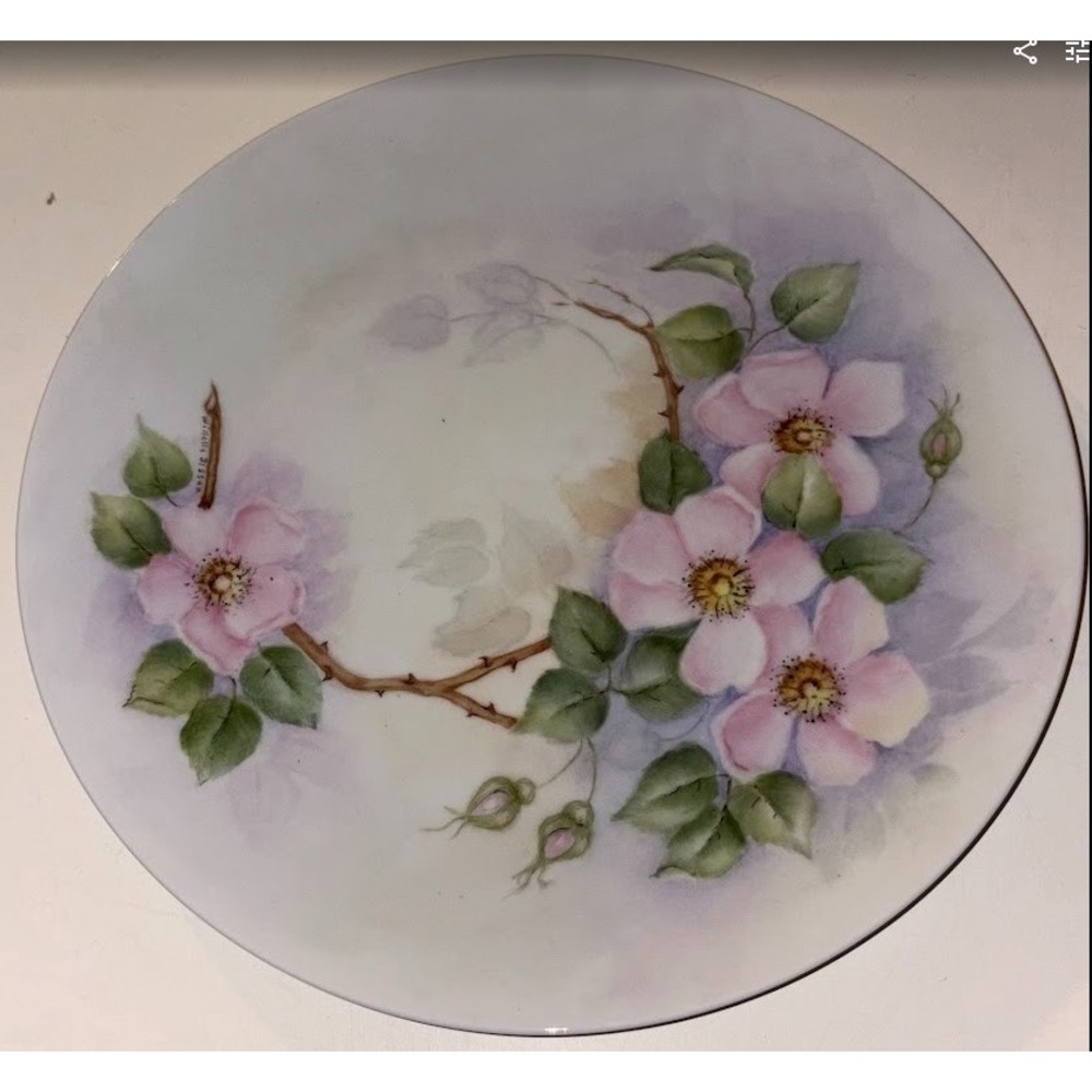 Fairwood Schonwald Germany Hand Painted Wild Rose Plate Signed Winnie Brisson